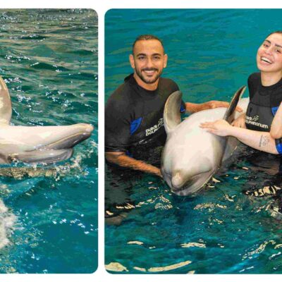 Visit to Dubai Dolphinarium