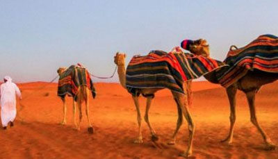 What is the Feeling of Camel Trekking