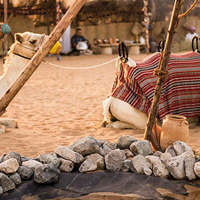 Desert Safari Ras Al Khaimah Offers