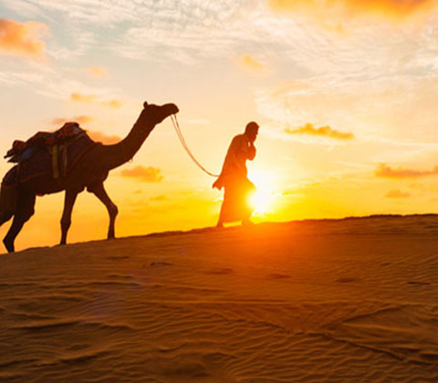 Guided Exploration of the Arabian Desert