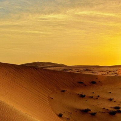 Best Morning Desert Safari Dubai