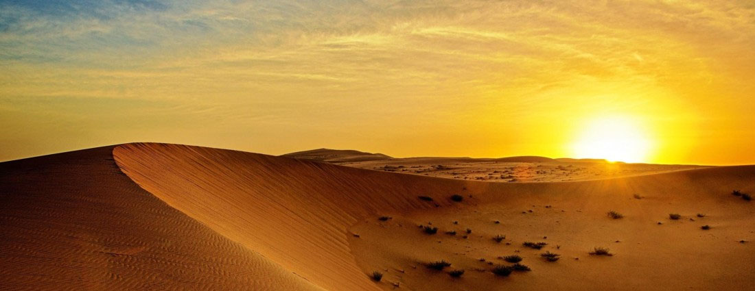 Best Morning Desert Safari Dubai