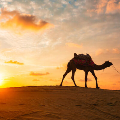 Best Sunrise Desert Safari Dubai