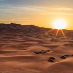 Dubai Morning Safari With Camel Ride