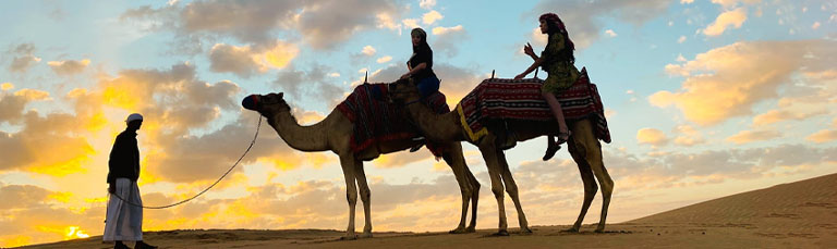 The Camel Ride Experience