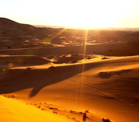 The Charm of the Desert