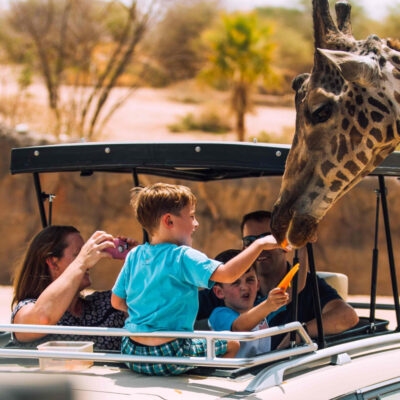 A Captivating Wildlife Experience at Al Ain Zoo