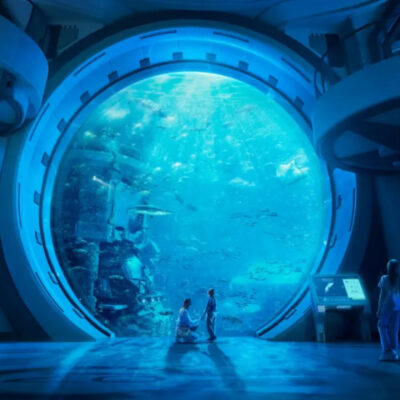 Experience the Ultimate Adventure at Yas Seaworld