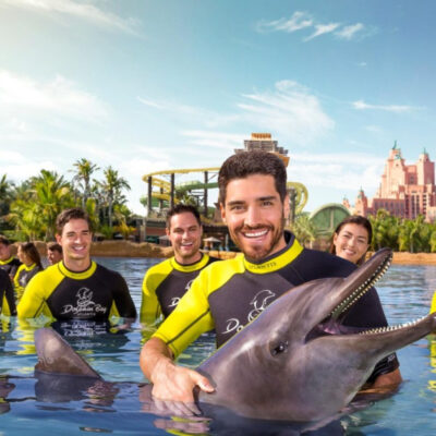 Swim with Dolphins Dubai: An Unforgettable Adventure