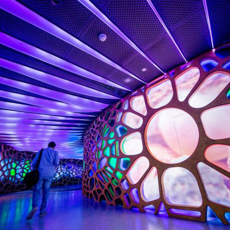 Uncover Dubai Expo Technological Advancements