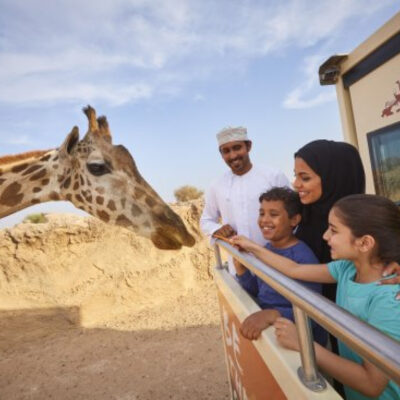 A Glimpse into the Animal Kingdom Oasis