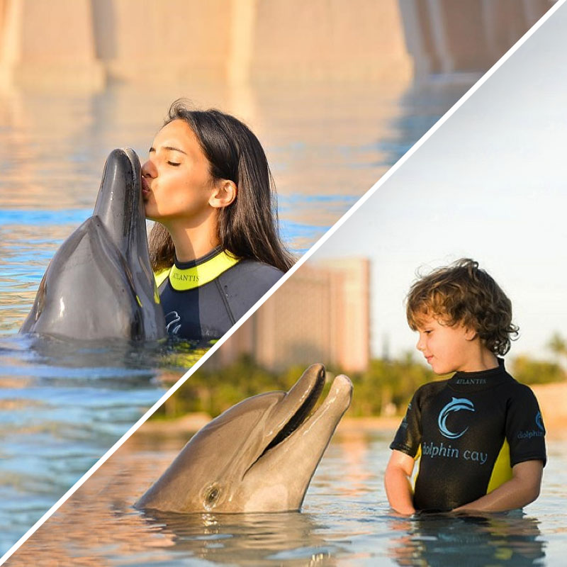 Dolphin Bay at Atlantis Dubai