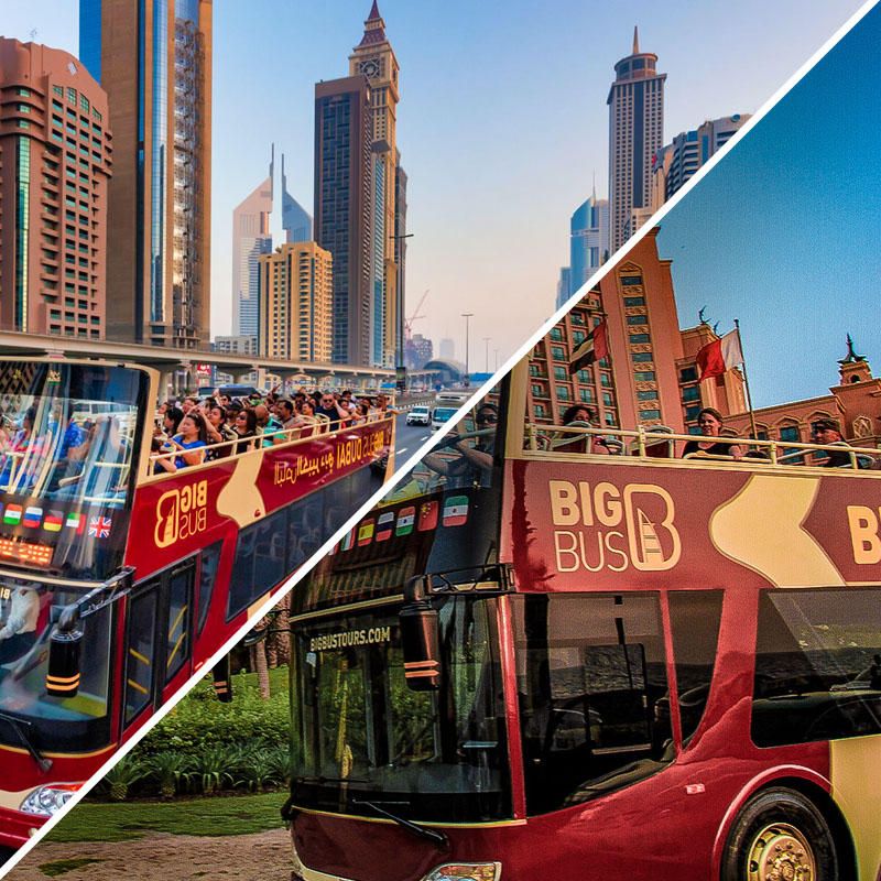 Discovering City Wonders: Big Bus Tour Journey