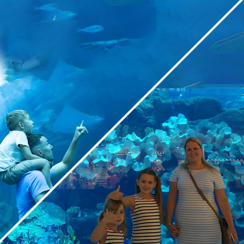Dive into Wonder: Exploring the Depth of Dubai Mall Aquarium