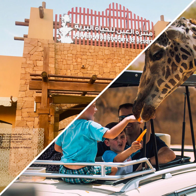 Discover Wildlife Wonders: Al Ain Zoo Tour Guide