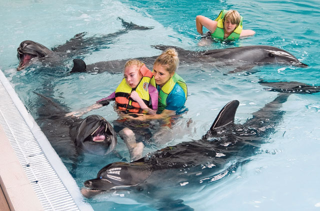 Dubai Dolphinarium